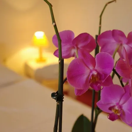 Fodor Hotel Jula