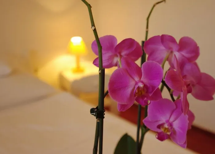 Fodor Hotel Gyula